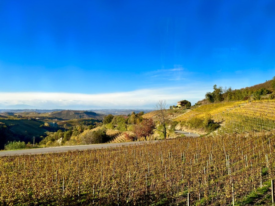 WhatsApp Image 2025-10-30 at 12.52.15_bab84f96